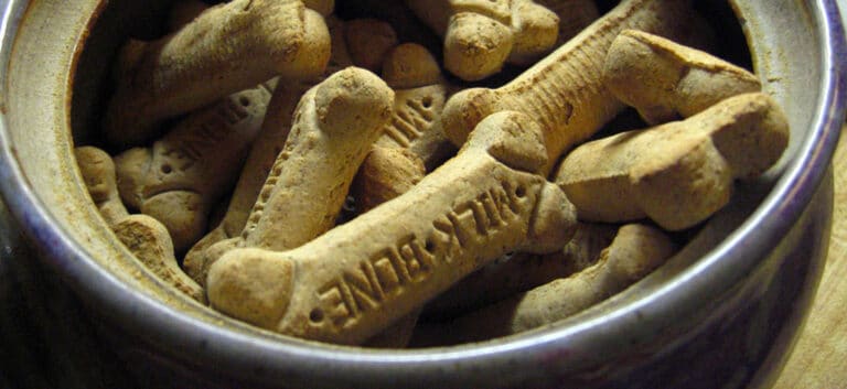 dogtreatscropped