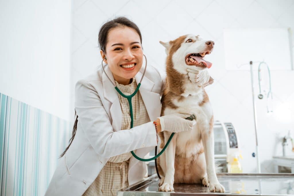 Veterinary practice health and safety